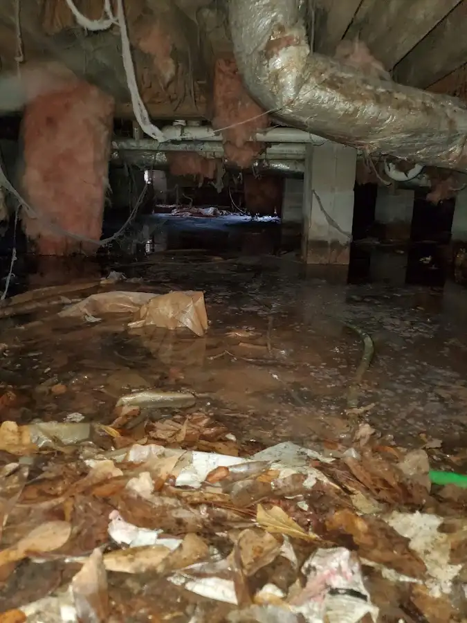 Crawl space flood assessment for Commercial Water Damage Restoration in Beverly Hills
